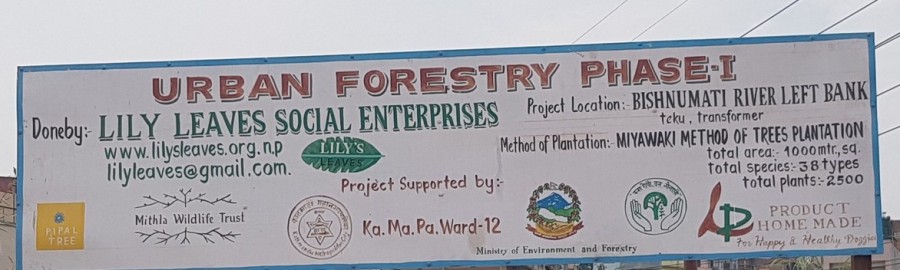 Urban Forest Phase -I