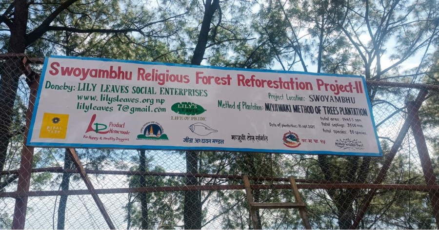 Swoyambhu Religious Forest Reforestation Project - II