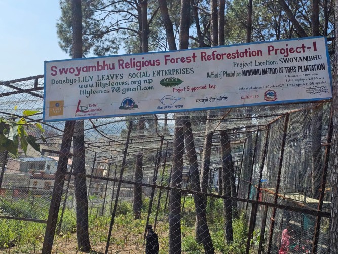 Swoyambhu Religious Forest Reforestation Project - I