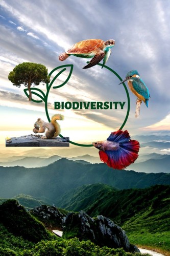 Protecting Biodiversity: Our Responsibility and Hope for a Healthy Planet