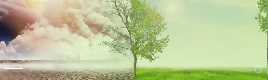 What is Harming Our Earth? The Silent Crisis Beneath Our Feet.