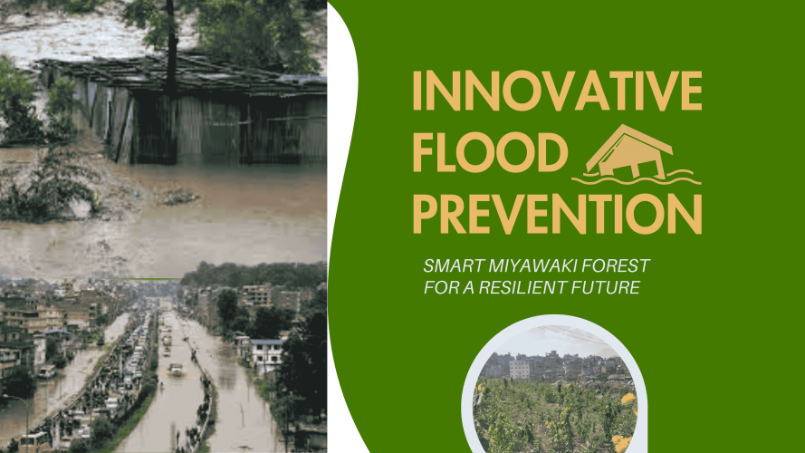 Kathmandu's growing flood risk: can urban greening be the shield
