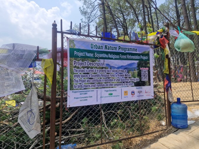 Youth Lead the Way in Sacred Site Conservation